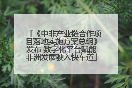 《中非产业链合作项目落地实施方案总纲》发布 数字化平台赋能非洲发展驶入快车道