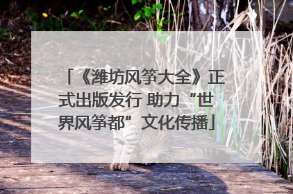 《潍坊风筝大全》正式出版发行 助力“世界风筝都”文化传播