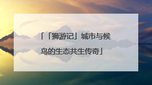 「狮游记」城市与候鸟的生态共生传奇
