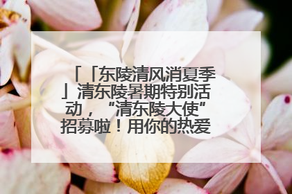 「东陵清风消夏季」清东陵暑期特别活动，“清东陵大使”招募啦！用你的热爱守护世界遗产！
