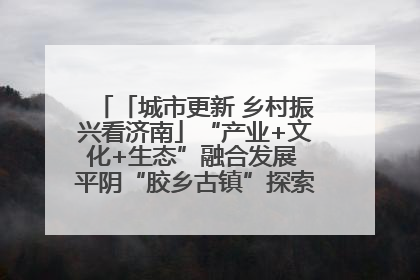 「城市更新 乡村振兴看济南」“产业+文化+生态”融合发展 平阴“胶乡古镇”探索振兴路径成效显著