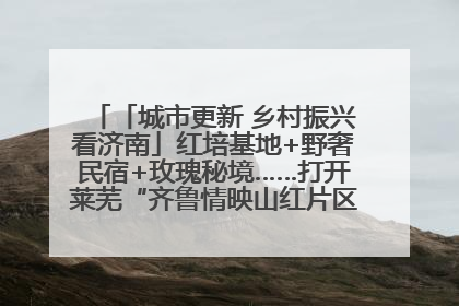 「城市更新 乡村振兴看济南」红培基地+野奢民宿+玫瑰秘境……打开莱芜“齐鲁情映山红片区”的破圈秘籍