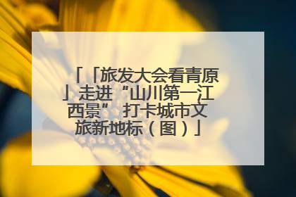 「旅发大会看青原」走进“山川第一江西景” 打卡城市文旅新地标（图）