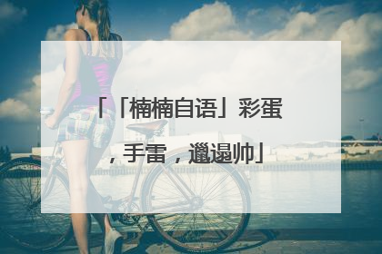 「楠楠自语」彩蛋，手雷，邋遢帅