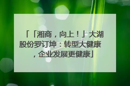 「湘商，向上！」大湖股份罗订坤：转型大健康，企业发展更健康