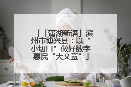 「蒲湖新语」滨州市博兴县：以“小切口”做好数字惠民“大文章”
