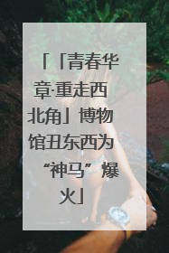 「青春华章·重走西北角」博物馆丑东西为“神马”爆火