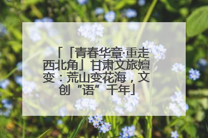 「青春华章·重走西北角」甘肃文旅嬗变：荒山变花海，文创“语”千年