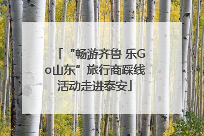 “畅游齐鲁 乐Go山东”旅行商踩线活动走进泰安