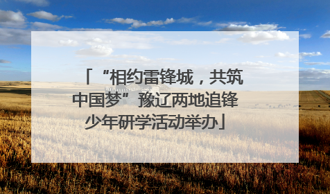 “相约雷锋城，共筑中国梦”豫辽两地追锋少年研学活动举办