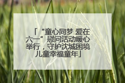 “童心同梦 爱在六一”慰问活动暖心举行，守护沈城困境儿童幸福童年