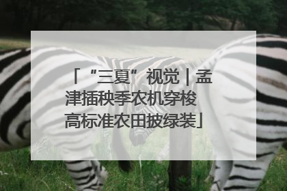 “三夏”视觉｜孟津插秧季农机穿梭 高标准农田披绿装