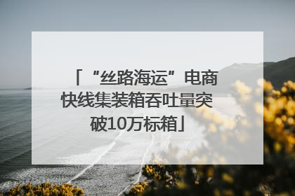 “丝路海运”电商快线集装箱吞吐量突破10万标箱