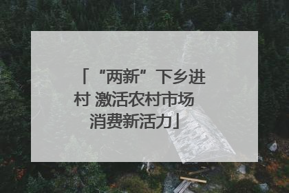 “两新”下乡进村 激活农村市场消费新活力