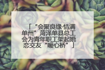 “会聚良缘·情满单州”菏泽单县总工会为青年职工架起婚恋交友“暖心桥”