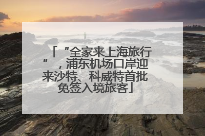 “全家来上海旅行”，浦东机场口岸迎来沙特、科威特首批免签入境旅客