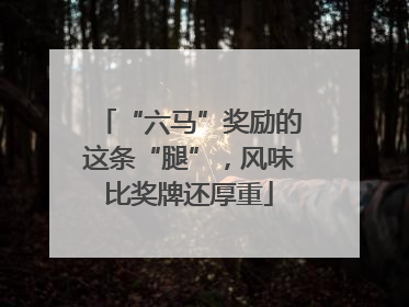 “六马”奖励的这条“腿”，风味比奖牌还厚重
