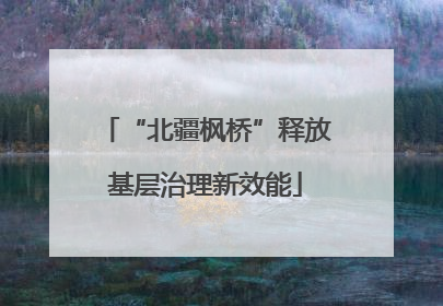 “北疆枫桥”释放基层治理新效能