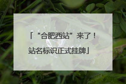 “合肥西站”来了！站名标识正式挂牌