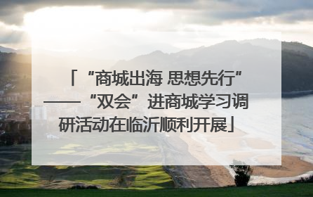 “商城出海 思想先行”——“双会”进商城学习调研活动在临沂顺利开展