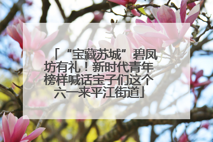“宝藏苏城”碧凤坊有礼！新时代青年榜样喊话宝子们这个六一来平江街道