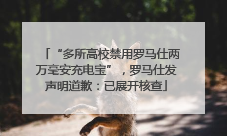 “多所高校禁用罗马仕两万毫安充电宝”，罗马仕发声明道歉：已展开核查