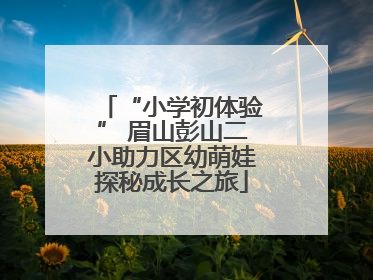 “小学初体验” 眉山彭山二小助力区幼萌娃探秘成长之旅