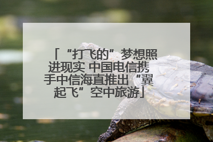 “打飞的”梦想照进现实 中国电信携手中信海直推出“翼起飞”空中旅游