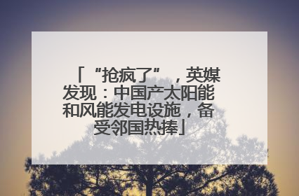 “抢疯了”，英媒发现：中国产太阳能和风能发电设施，备受邻国热捧