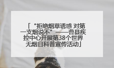“拒绝烟草诱惑 对第一支烟说不”——曹县疾控中心开展第38个世界无烟日科普宣传活动