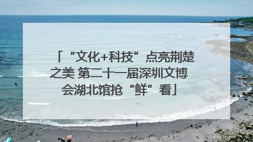 “文化+科技”点亮荆楚之美 第二十一届深圳文博会湖北馆抢“鲜”看