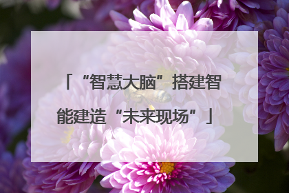 “智慧大脑”搭建智能建造“未来现场”