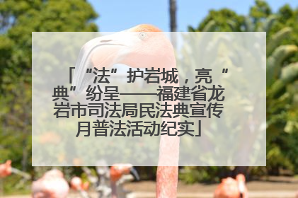 “法”护岩城，亮“典”纷呈——福建省龙岩市司法局民法典宣传月普法活动纪实
