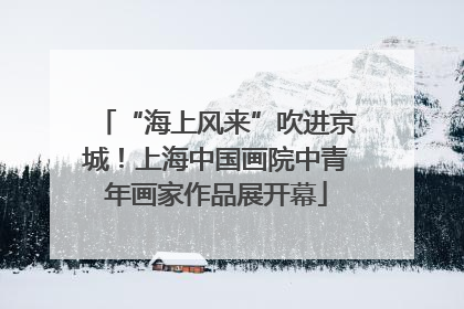 “海上风来”吹进京城！上海中国画院中青年画家作品展开幕