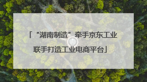 “湖南制造”牵手京东工业 联手打造工业电商平台