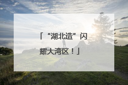“湖北造”闪耀大湾区！