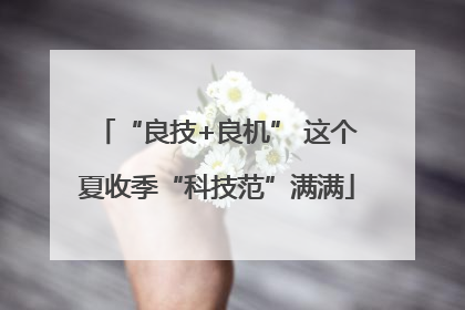 “良技+良机” 这个夏收季“科技范”满满