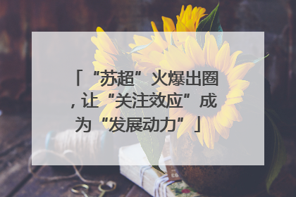 “苏超”火爆出圈，让“关注效应”成为“发展动力”