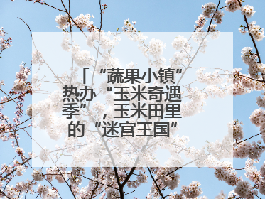 “蔬果小镇”热办“玉米奇遇季”，玉米田里的“迷宫王国”等您来探索