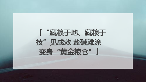 “藏粮于地、藏粮于技”见成效 盐碱滩涂变身“黄金粮仓”