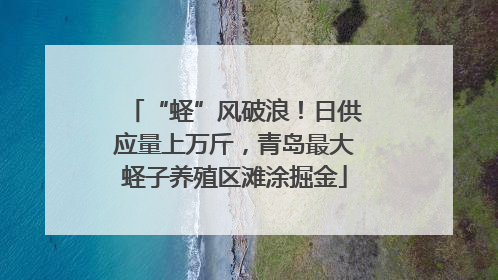 “蛏”风破浪！日供应量上万斤，青岛最大蛏子养殖区滩涂掘金