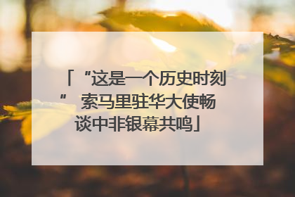 “这是一个历史时刻” 索马里驻华大使畅谈中非银幕共鸣