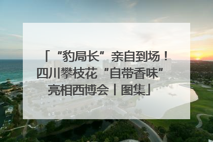 “豹局长”亲自到场！四川攀枝花“自带香味”亮相西博会丨图集