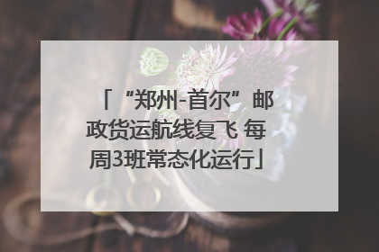 “郑州-首尔”邮政货运航线复飞 每周3班常态化运行