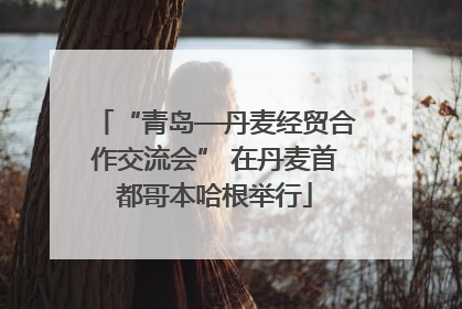 “青岛—丹麦经贸合作交流会” 在丹麦首都哥本哈根举行