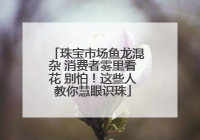 珠宝市场鱼龙混杂 消费者雾里看花 别怕！这些人教你慧眼识珠