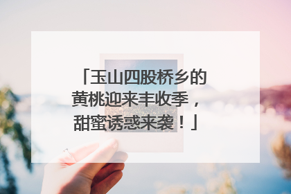 玉山四股桥乡的黄桃迎来丰收季，甜蜜诱惑来袭！