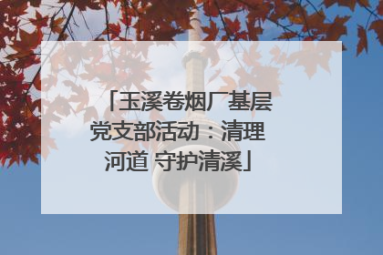 玉溪卷烟厂基层党支部活动：清理河道 守护清溪
