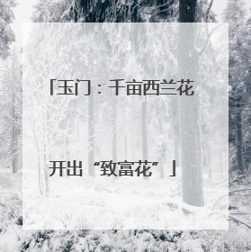 玉门：千亩西兰花开出“致富花”
