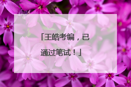 王皓考编，已通过笔试！